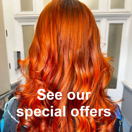 Cut and Blowdry offer discount